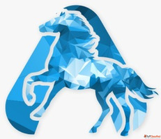 Best SEO Company in Mohali