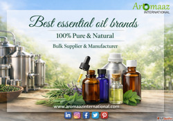 Why Do Businesses Choose the Best Essential Oils Brands for ...