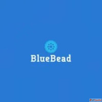 BlueBead Gemstones and Diamonds