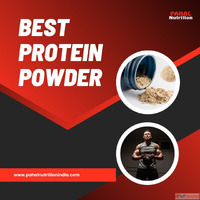 Best Protein Powder