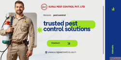 Trusted Pest Control Services in Uttam Nagar