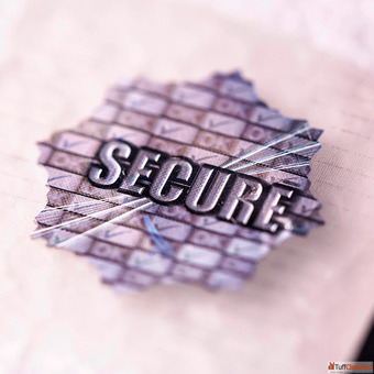 Manufacturer Label Solutions for Brand Protection by Veritech