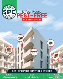 Trusted SIPC Pest Control Services in Bangalore