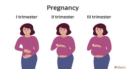 Get B-hCG Testing with Convenient Home Sample Collection at ...