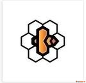 Brand Identity Design India Beeztech - Get Started