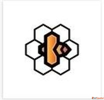 Brand Identity Design India Beeztech - Get Started