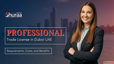 Professional License in UAE for Consultants and Service Businesses