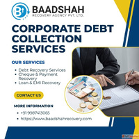 Baadshah Recovery Agency - Professional Debt Recovery Soluti...