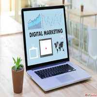 Best SEO and Digital Marketing Company in Noida for Higher R...