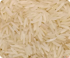 High-Quality Sugandha Basmati Rice for Export