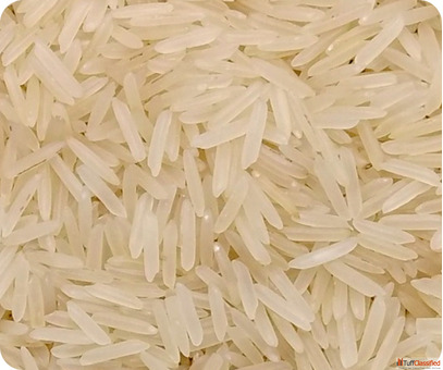 Premium Indian Sharbati Basmati Rice Exporter
