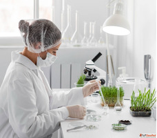 Top 10 Ayurvedic Third Party Manufacturing Companies in Indi...
