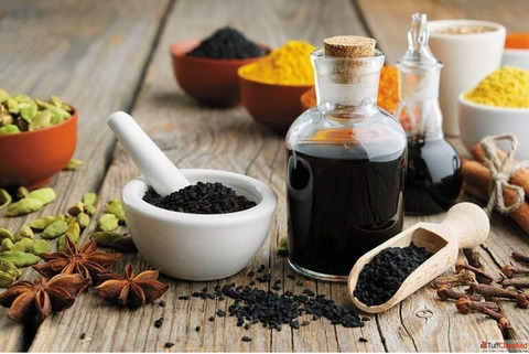 Top 10 Ayurvedic Third Party Manufacturing Companies in India Trusted Ayurvedic Pharma Companies