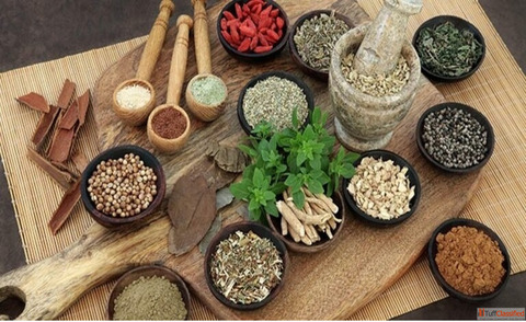 Top 10 Ayurvedic Third Party Manufacturing Companies in India Trusted Ayurvedic Pharma Companies