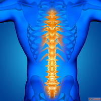 Best Spine Surgeon in Ahmedabad for Advanced Spine Care and ...