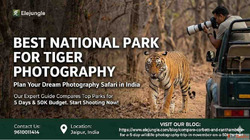 Track the Big Cats at the Best National Park for Tiger Photo...