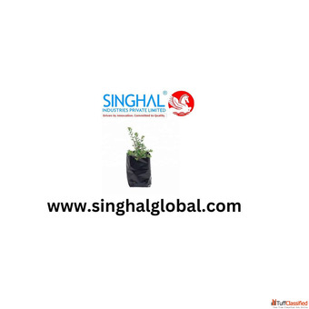 Strong Foundations for Successful Cultivation