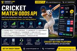 Cricket Match Odds API - Fast Accurate Real-Time Data Soluti...