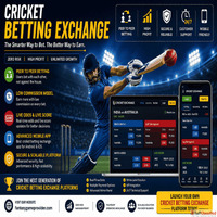 Cricket Exchange Website Development - Launch Your Profitabl...