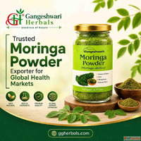 Trusted Moringa Powder Exporter for Global Health Markets