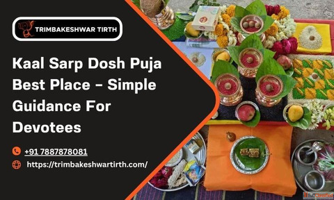 Kaal Sarp Dosh Puja Best Place - Simple Guidance For Devotees