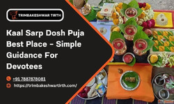 Kaal Sarp Dosh Puja Best Place - Simple Guidance For Devotee...