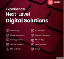 Top Custom Software Development Company in Kochi Esight Solu...