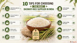 Best Basmati Rice Supplier in India - Shree Krishna Exports