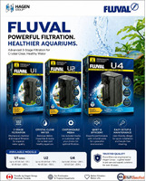 Best Internal Filter for Aquarium Tanks - Fluval U Series