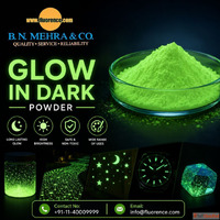 Shop High-Quality Glow in Dark Powder Fluorence