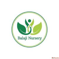 Balaji Nursery