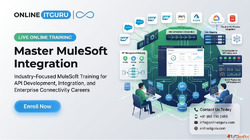 MuleSoft Training - API Integration Anypoint Platform Master...
