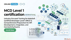 MuleSoft Online Training - API Integration Mule 4 Developmen...