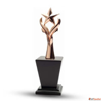 Metal Star Trophies