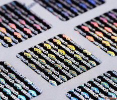 Hologram Security Label Solutions by Veritech