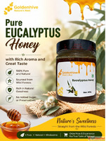 Pure Eucalyptus Honey with Rich Aroma and Great Taste