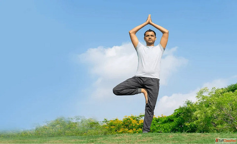 Certified Therapeutic Yoga Sessions for Healing in Delhi NCR