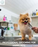 Pet Grooming in Zirakpur Dog Cat Grooming Services at Vetiix...
