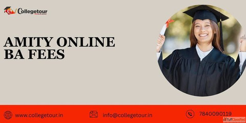 Amity Online BA Fees
