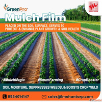 Premium Plastic Mulching Sheets for Agriculture
