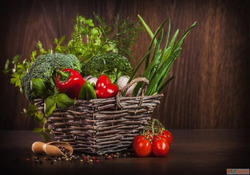 Vegetable Gardening Ideas in Rajasthan for Fresh and Healthy...