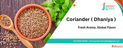 Organic Coriander Seeds Dhaniya Suppliers Exporters India