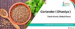 Organic Coriander Seeds Dhaniya Suppliers Exporters India