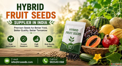 Hybrid Fruit Seeds Supplier in India Premium Quality Fruit S...