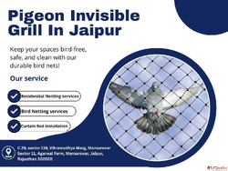 Top Pigeon Invisible Grill in Jaipur