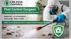 Pest Control Charges in Gurgaon Starting at 900 Book Expert ...