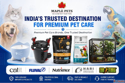 Explore Trusted Brands for Every Pet Category