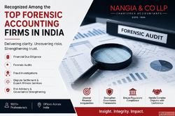 Top Forensic Accounting Firms in India