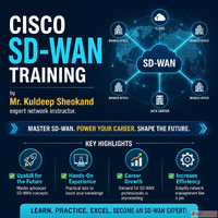 Cisco SDWAN Training and Certification