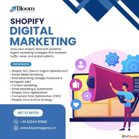 Shopify Web Design Services